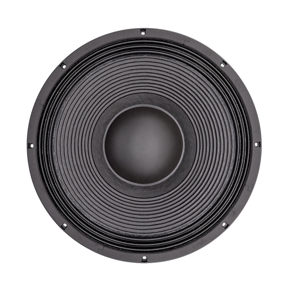Sistem Audio Profesional 21''  - Speakers ulasan dan harga